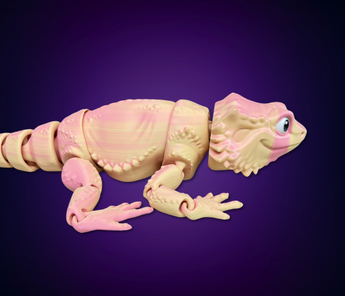 Jumbo Bearded Dragon